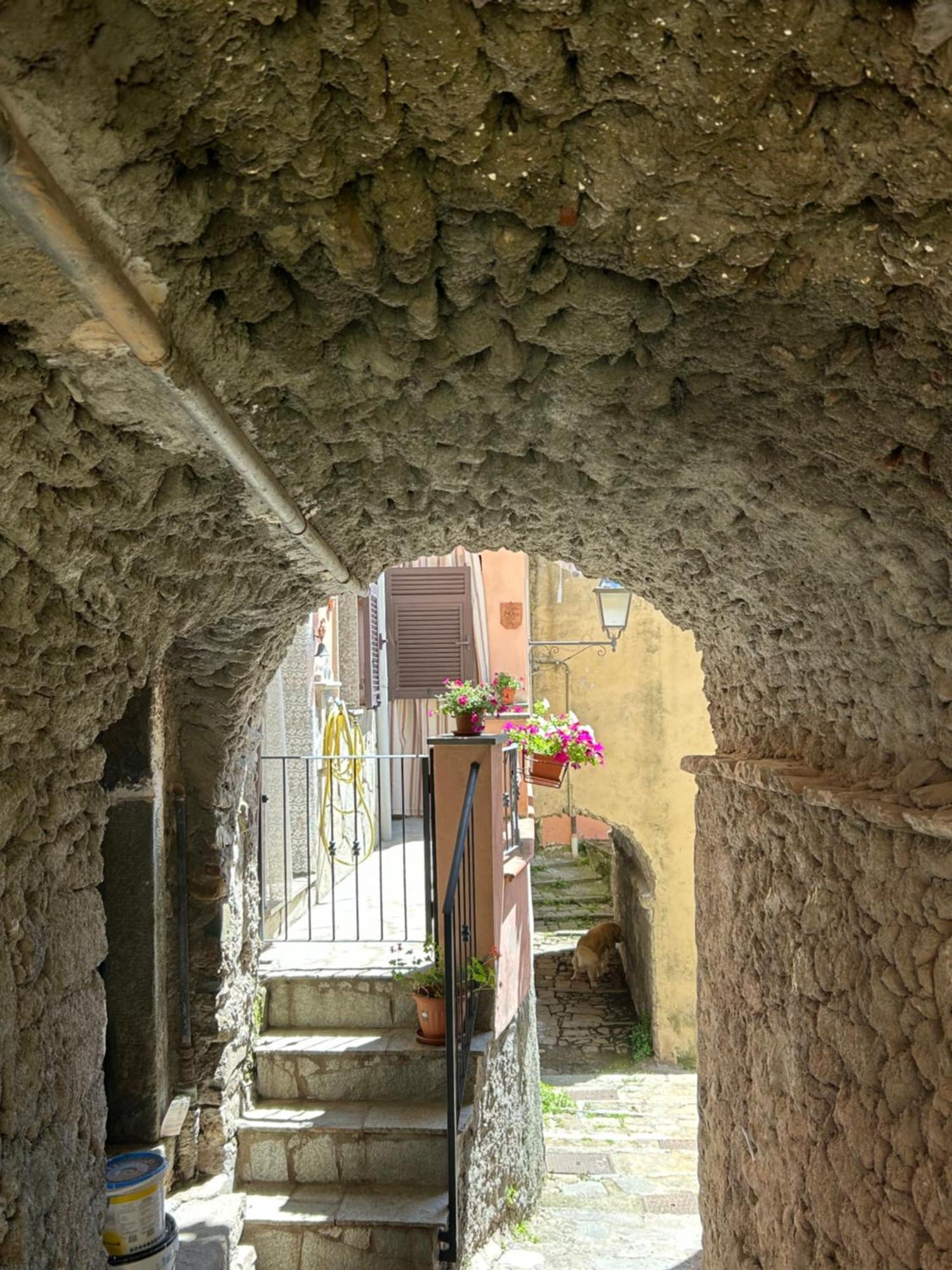 Ca De Igiu-Biassa-Cinque Terre Lejlighed Eksteriør billede